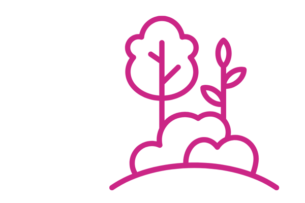 Purple outline of trees and clouds on a white background