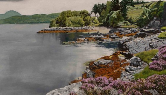 Scenic view of seashore from the rocks